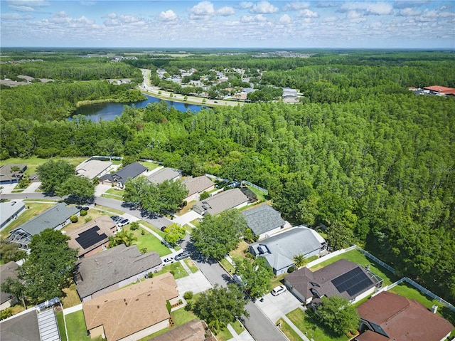 19713 Ellendale Dr, Land O Lakes, FL 34638 - photo 47
