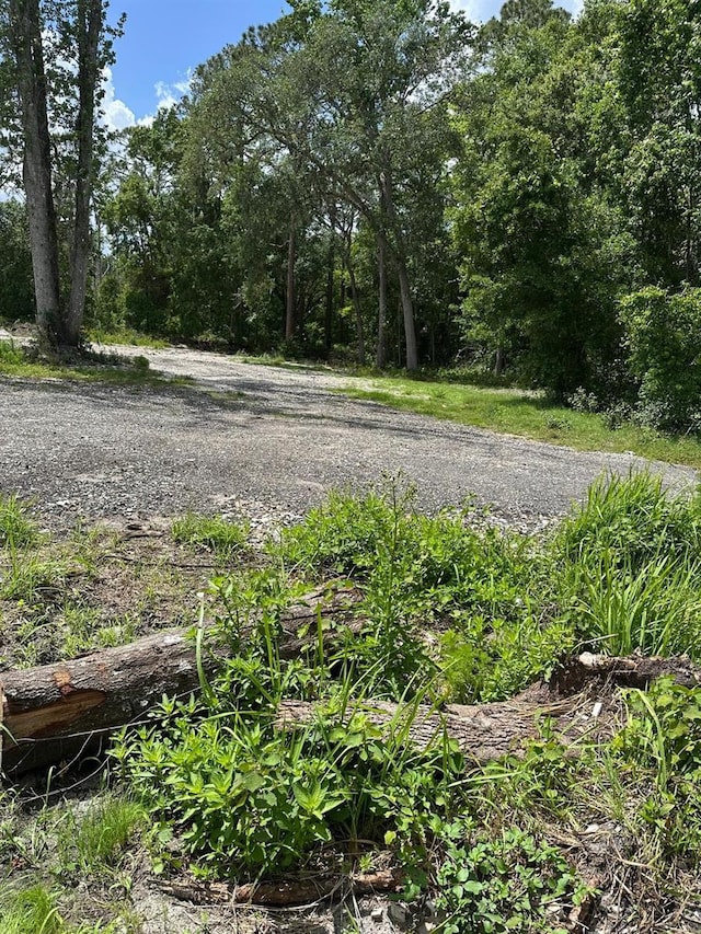 6655 Old Tampa Hwy, Davenport, FL 33896
