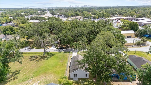 bird's eye view