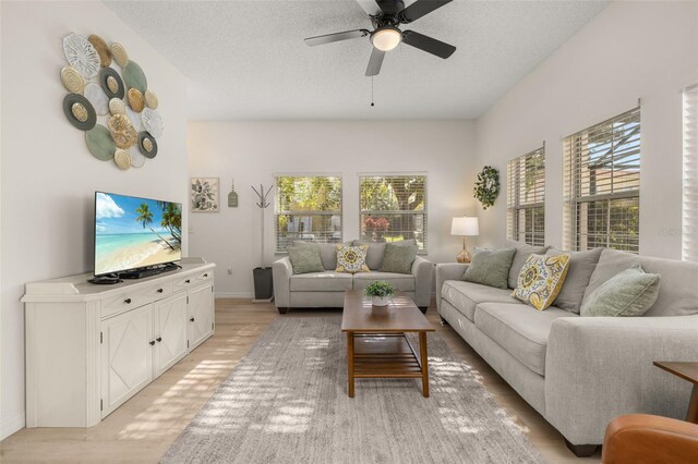 4722 Flagler Beach Way, Kissimmee, FL 34746 - living room with a ceiling fan, light wood-style floors, a textured ceiling, and a healthy amount of sunlight