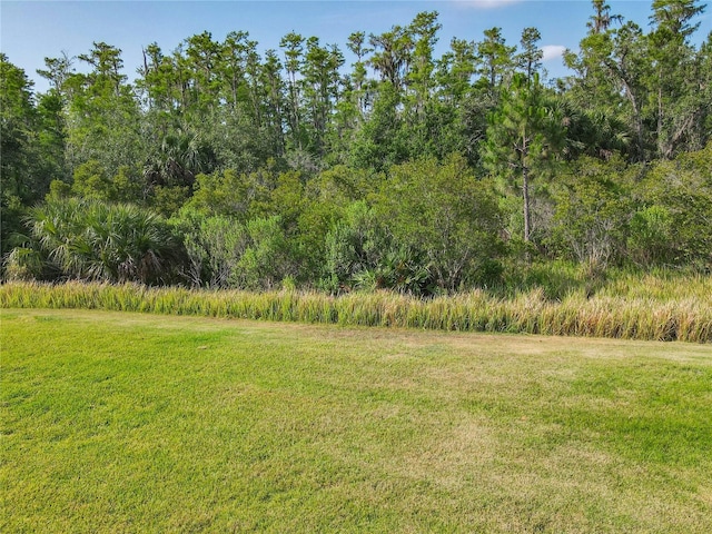 819 San Raphael St, Kissimmee, FL 34759 - photo 53