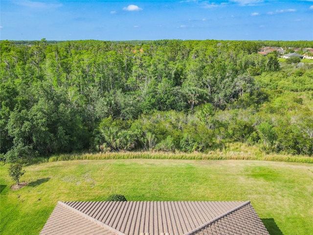 819 San Raphael St, Kissimmee, FL 34759 - photo 56