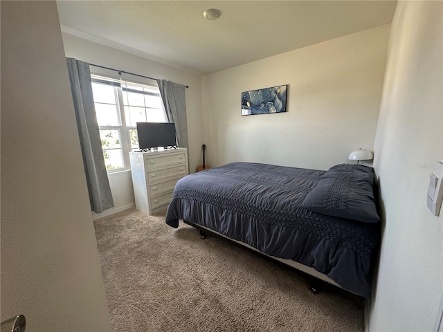 4373 Deleon St, Haines City, FL 33844 - view of carpeted bedroom