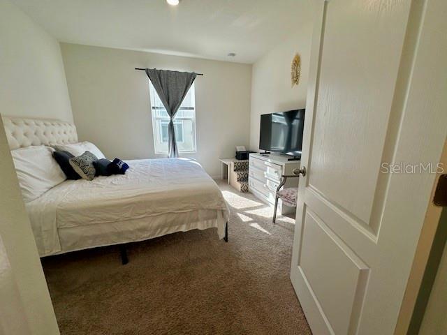 4373 Deleon St, Haines City, FL 33844 - view of carpeted bedroom