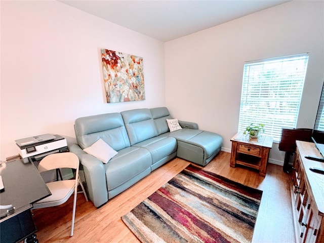 living area featuring wood finished floors