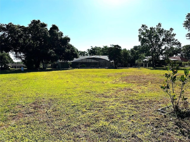 3328 Wax Berry Ct, Windermere, FL 34786 - view of yard