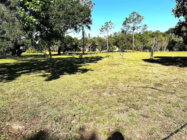 3328 Wax Berry Ct, Windermere, FL 34786 - view of yard
