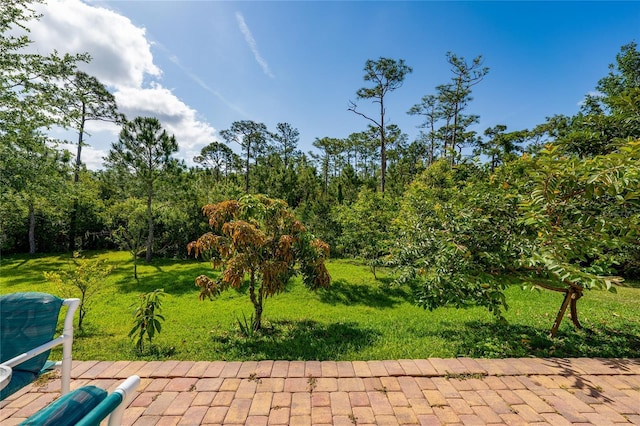 surrounding community featuring a yard