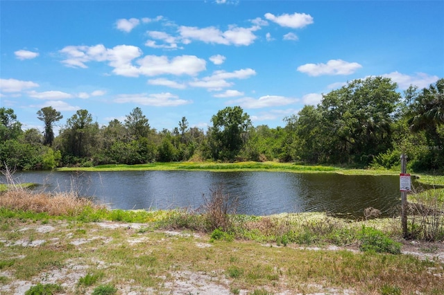 water view with a forest view