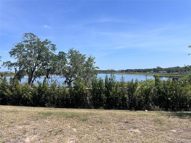 1321 Yorkdale Rd, Davenport, FL 33837 - property view of water