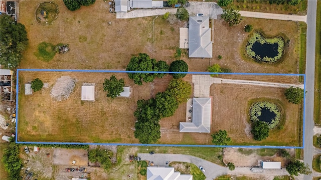 4091 Lippman Rd, Saint Cloud, FL 34772 - photo 49