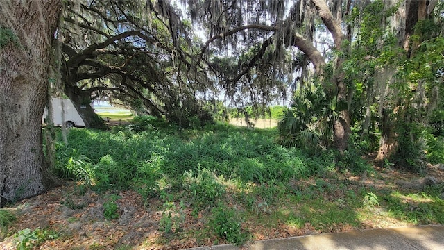 Neptune Rd, Kissimmee, FL 34744