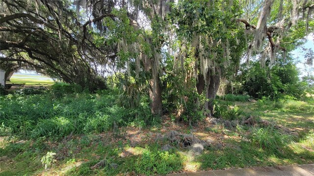 Neptune Rd, Kissimmee, FL 34744