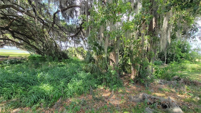 Neptune Rd, Kissimmee, FL 34744