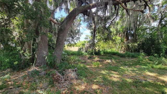 Neptune Rd, Kissimmee, FL 34744