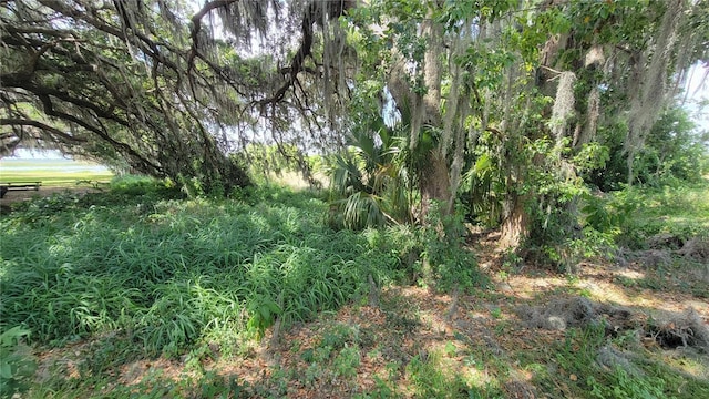 Neptune Rd, Kissimmee, FL 34744