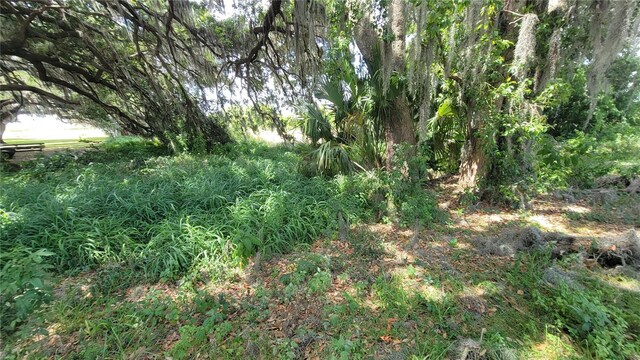Neptune Rd, Kissimmee, FL 34744