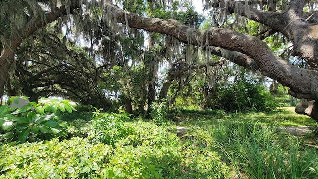 Neptune Rd, Kissimmee, FL 34744