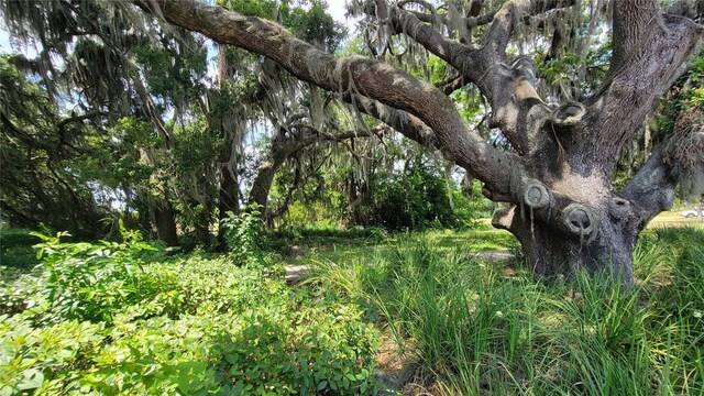Neptune Rd, Kissimmee, FL 34744