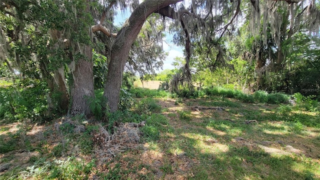 Neptune Rd, Kissimmee, FL 34744