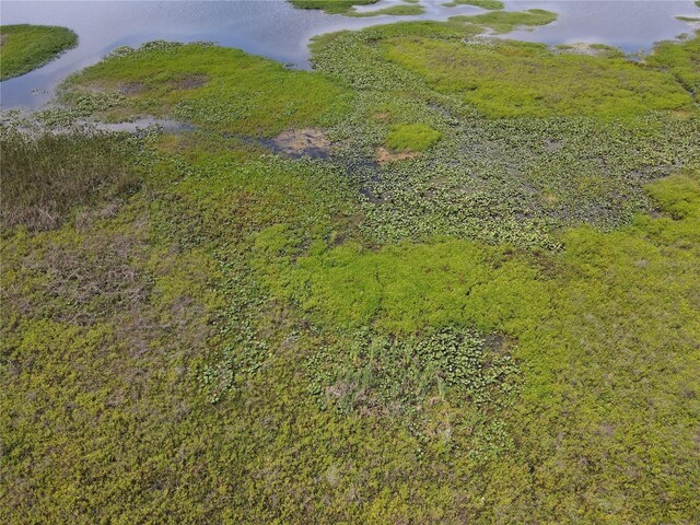 Neptune Rd, Kissimmee, FL 34744