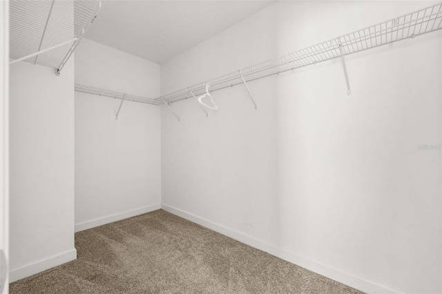 11843 Fiction Ave, Orlando, FL 32832 - photo 22