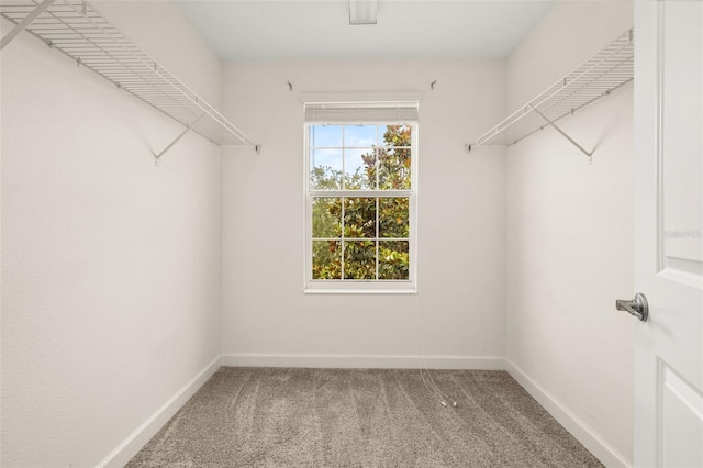 11843 Fiction Ave, Orlando, FL 32832 - photo 25