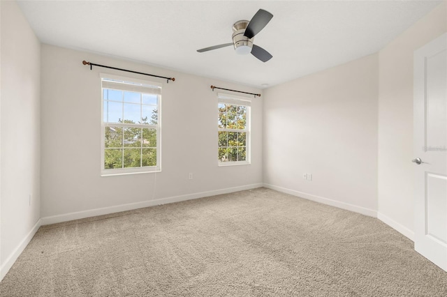 11843 Fiction Ave, Orlando, FL 32832 - photo 28