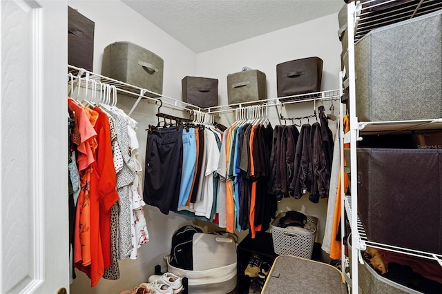 view of walk in closet