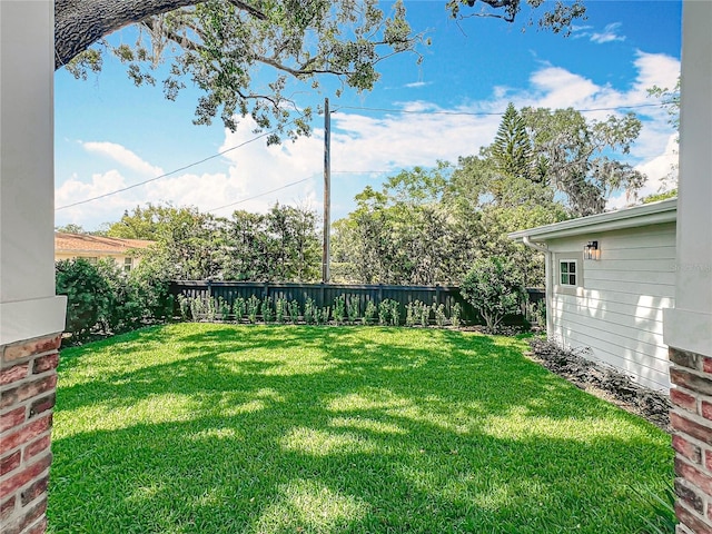 view of yard featuring a fenced backyard