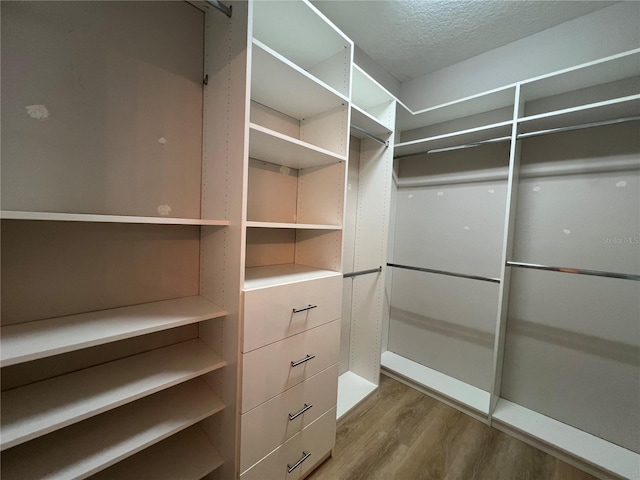 spacious closet featuring wood finished floors