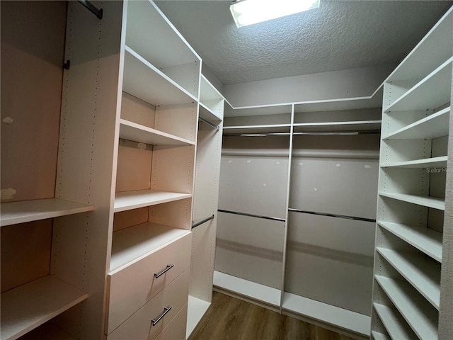 walk in closet featuring dark wood-style floors