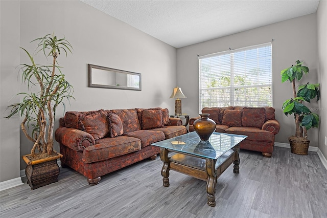 209 Rosso Dr, Davenport, FL 33837 - living room with wood finished floors and baseboards