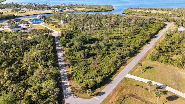 12518 Eisenhower Dr, Port Charlotte, FL 33953 - photo 7