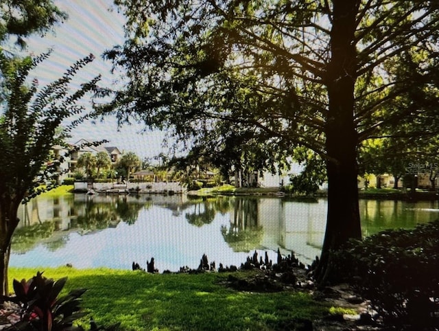 property view of water