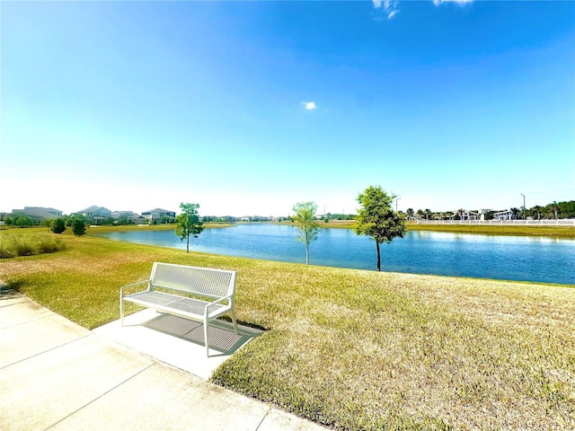 11688 Founders St, Orlando, FL 32832 - photo 54