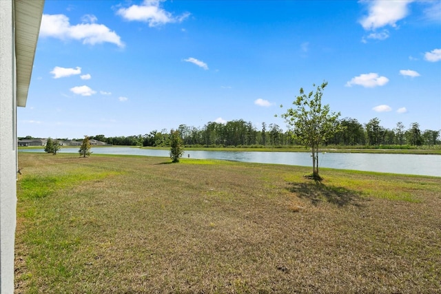 2156 Merrybells Dr, Kissimmee, FL 34746 - view of green lawn with a water view