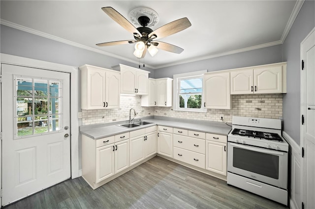 1400 Florida Ave, Saint Cloud, FL 34769 - kitchen with white gas range oven, a sink, light wood-type flooring, a ceiling fan, and ornamental molding