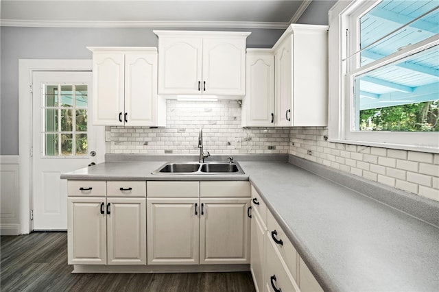 1400 Florida Ave, Saint Cloud, FL 34769 - kitchen featuring a sink, white cabinetry, healthy amount of natural light, dark wood-style floors, and ornamental molding