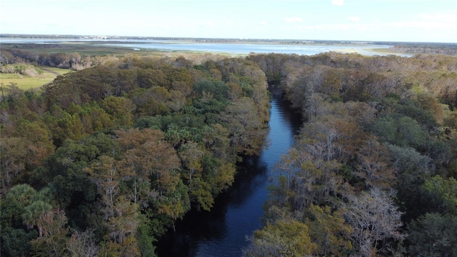 1532 Angler Ave, Kissimmee, FL 34746 - aerial view featuring a wooded view and a water view