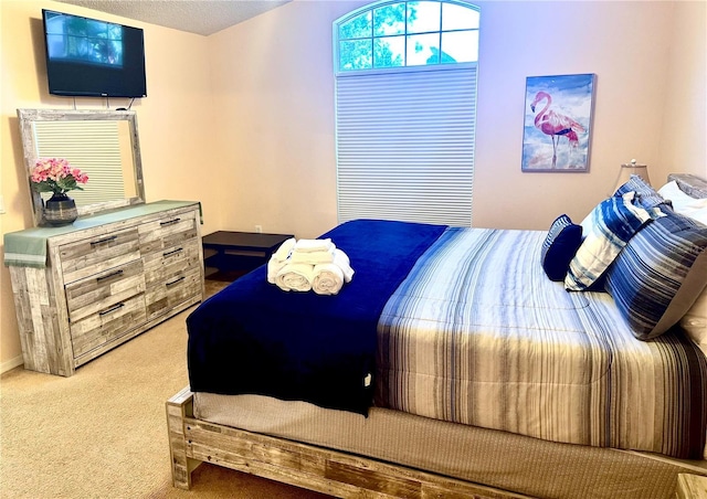 314 Saddle Ridge Dr, Davenport, FL 33896 - view of carpeted bedroom