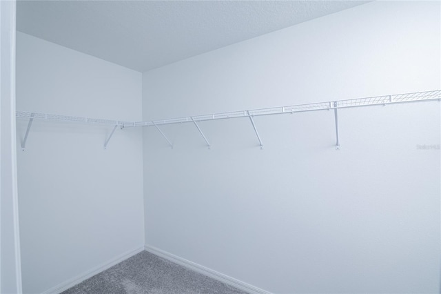 2189 Teneroc Trl, Lakeland, FL 33801 - walk in closet with carpet flooring