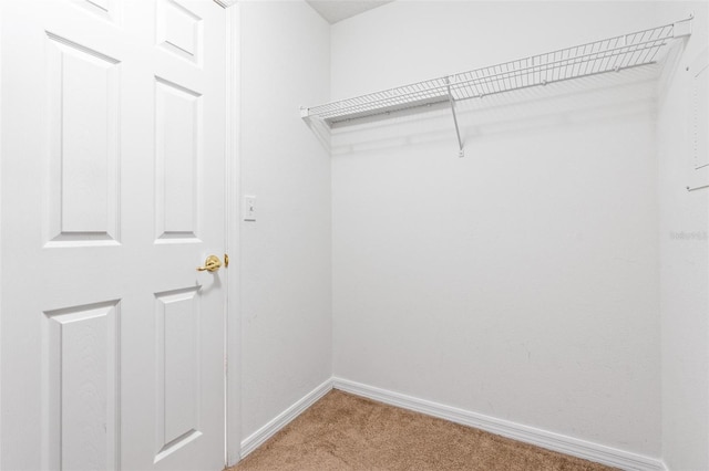 walk in closet with light carpet