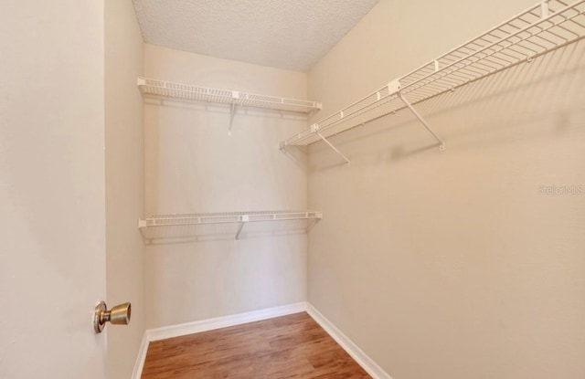 spacious closet featuring wood finished floors