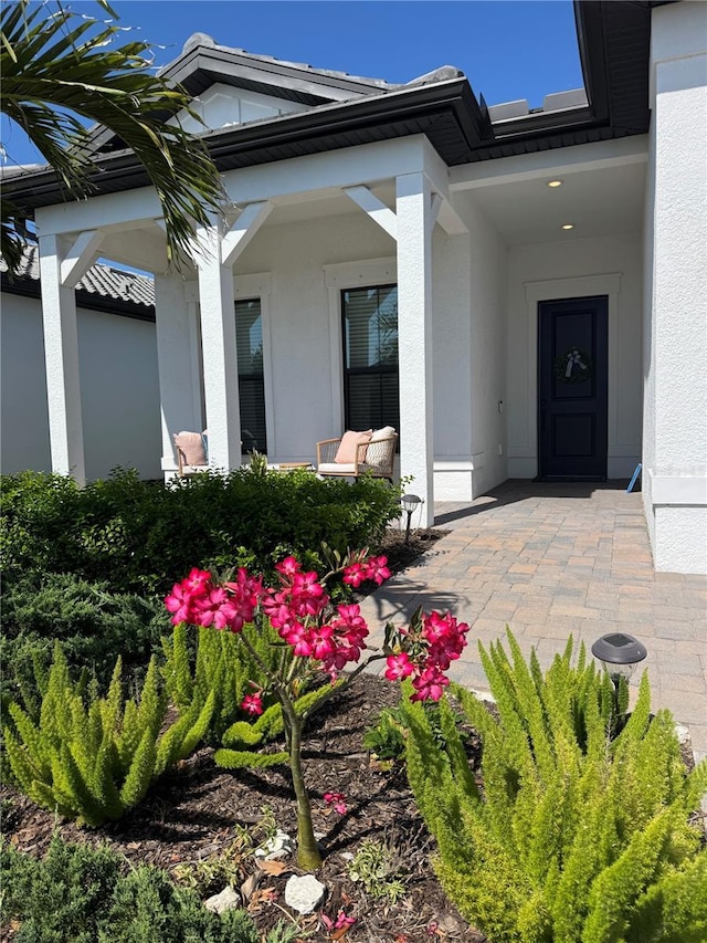 view of exterior entry with stucco siding