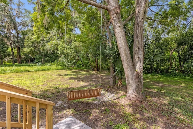 5851 SE Drew Rd, Belleview, FL 34420 - view of yard