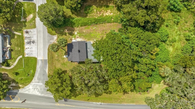 5851 SE Drew Rd, Belleview, FL 34420 - bird's eye view