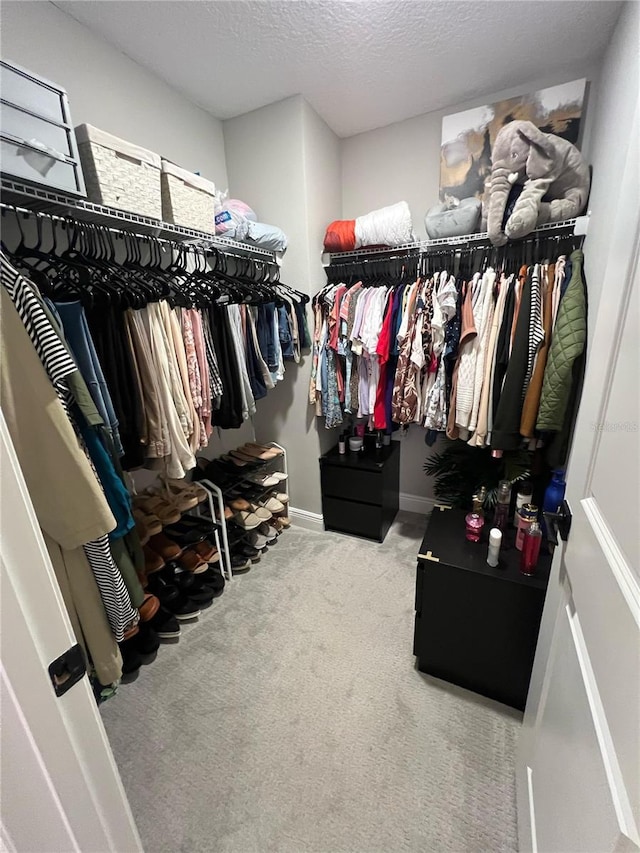 spacious closet with carpet floors