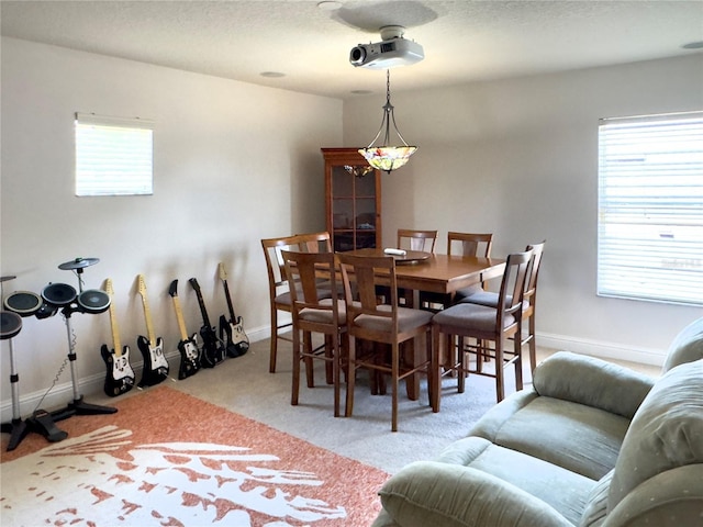 dining area featuring baseboards and carpet floors
