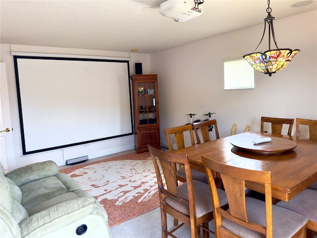 home theater featuring light carpet
